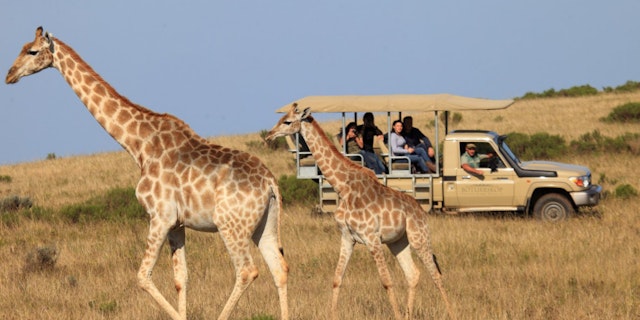 Botlierskop Private Game Reserve-0