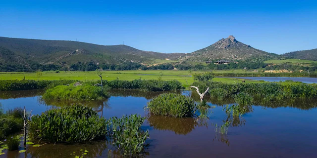 Botlierskop Private Game Reserve-0