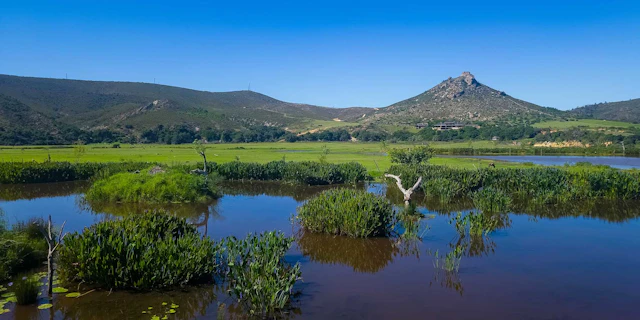 Botlierskop Private Game Reserve-0