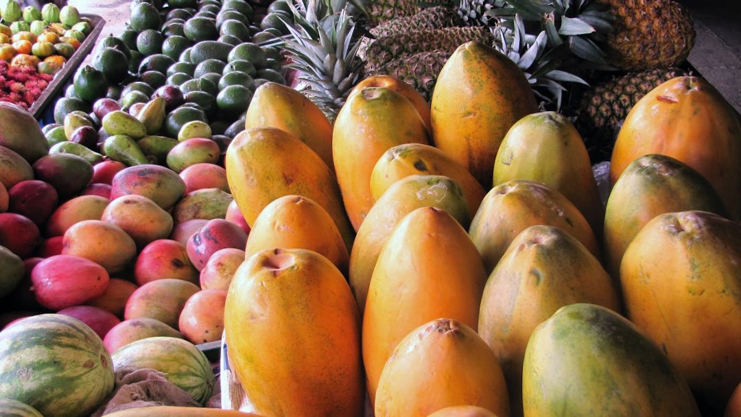 Costa Rica : une aventure nature authentique