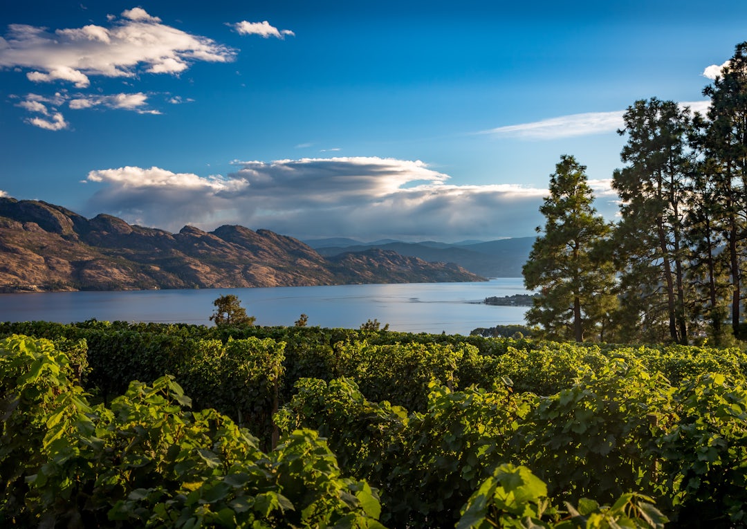 Kanada Rundreise durch den Westen: Rockies, Wein und Wildnis
