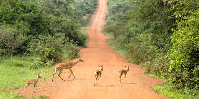 Lake Mburo National Park-2