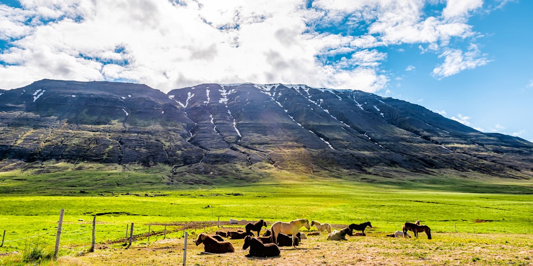 Island Offroad Tour: Hochland mit dem Jeep