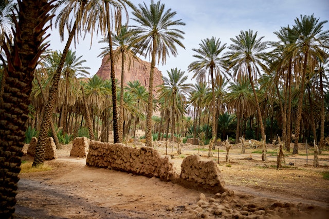 Saudi-Arabien Urlaub am Roten Meer: Luxus pur