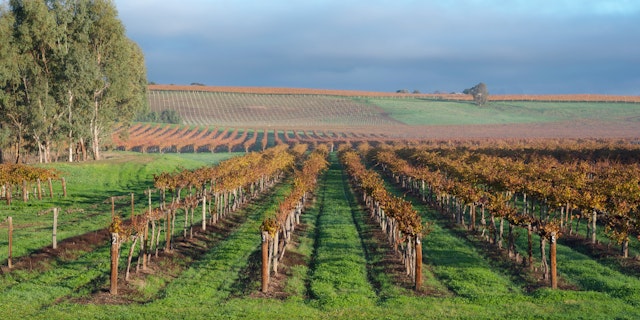 Lyndoch-2