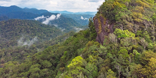 Sinharaja Forest Reserve-4