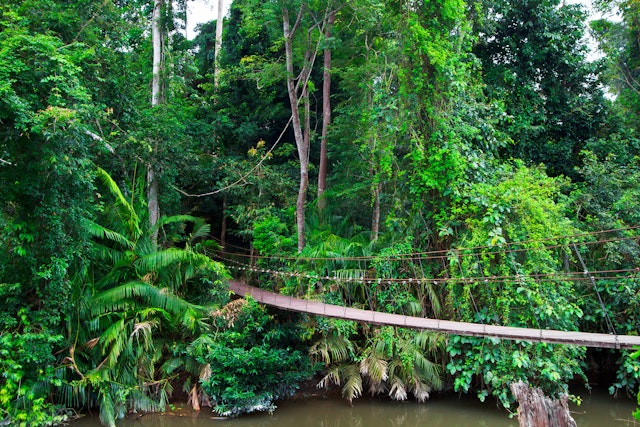 Sinharaja Forest Reserve-1