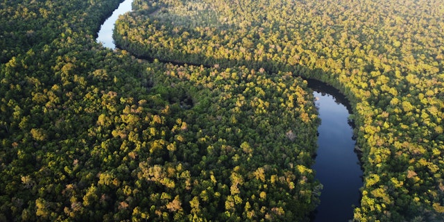 Cardamom Mountains-3