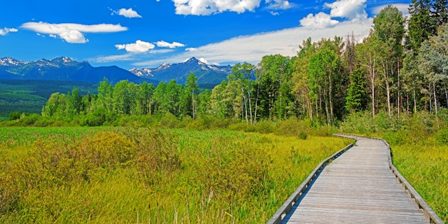 Valemount-6