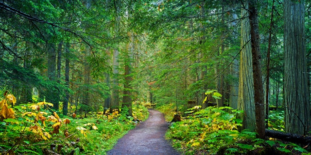Valemount-5