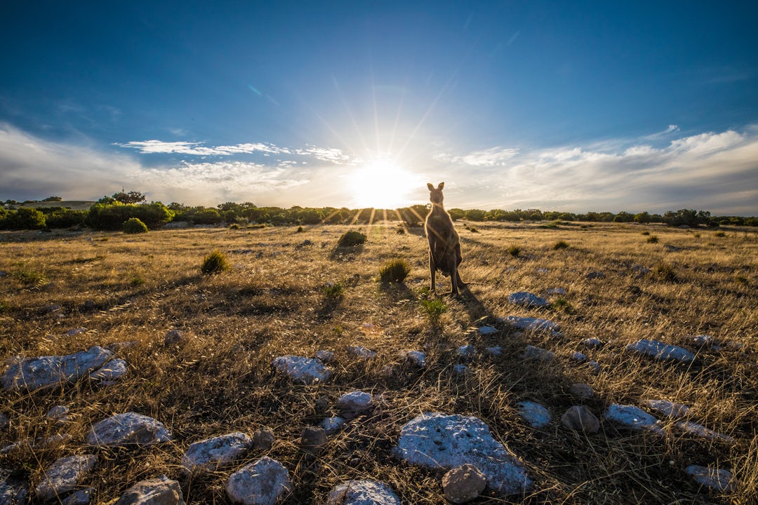 2 Monate Australien Abenteuer