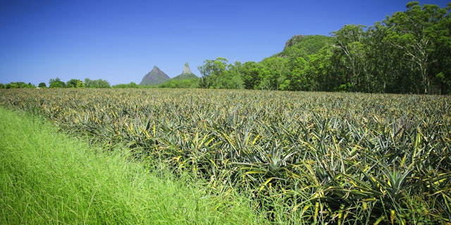 Glass House Mountains-4