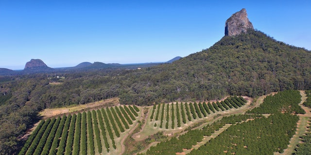 Glass House Mountains-0