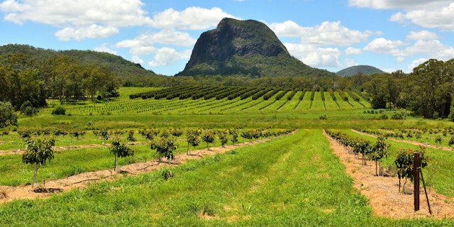 Glass House Mountains-4