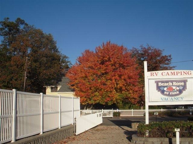 Beach Rose RV Park