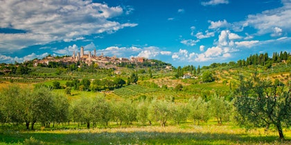 Toskana Rundreise 10 Tage: Kultur, Wein & Meer mit dem Auto  - Image 4