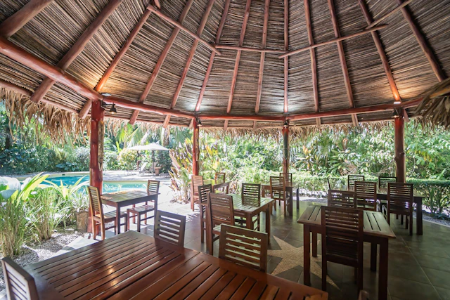 Hotel El Pequeño Gecko Verde