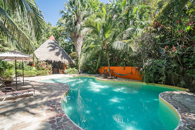 Hotel El Pequeño Gecko Verde