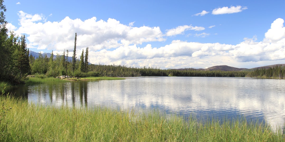 Yukon Abenteuer mit atemberaubender Wohnmobilreise