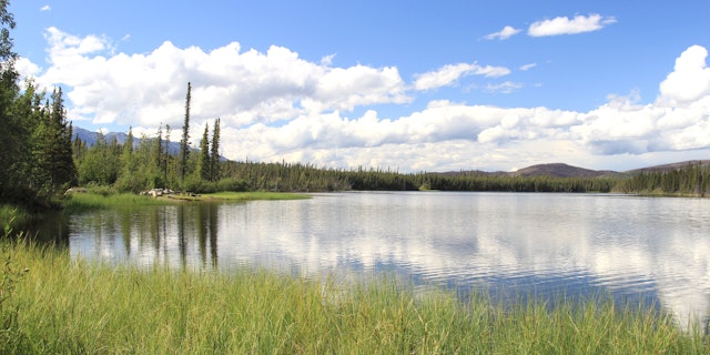 Auf den Spuren der Goldsucher: Alaska & Yukon