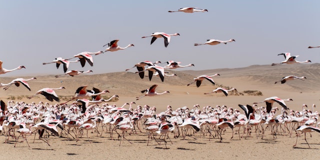 Swakopmund-2