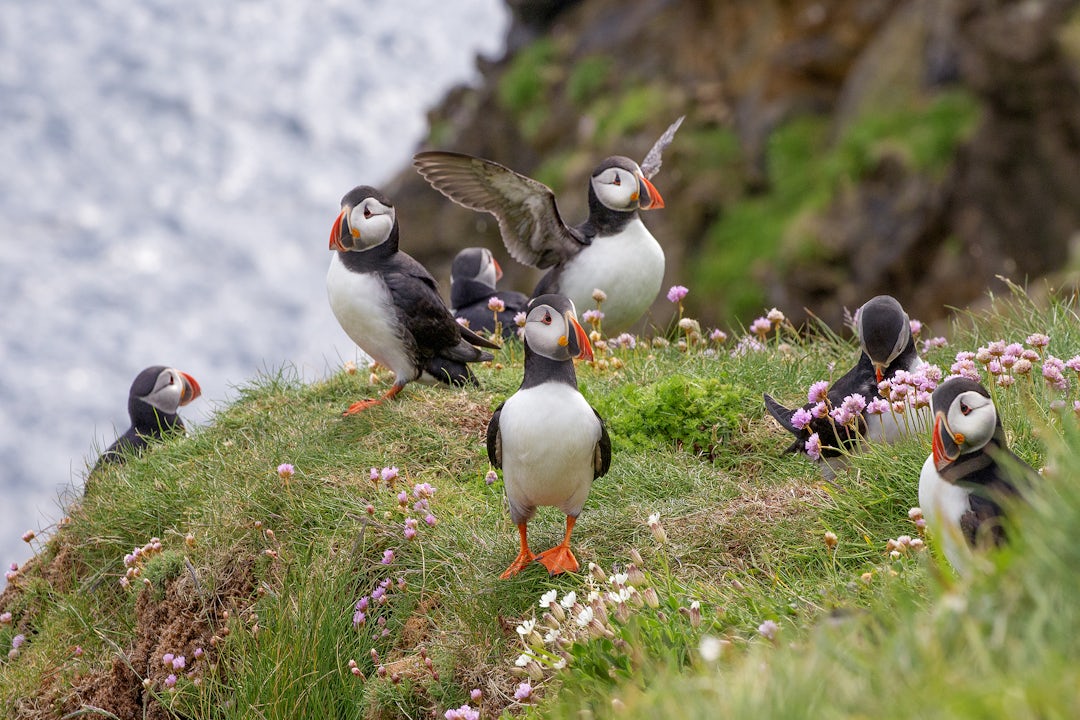 Une aventure islandaise authentique et inoubliable