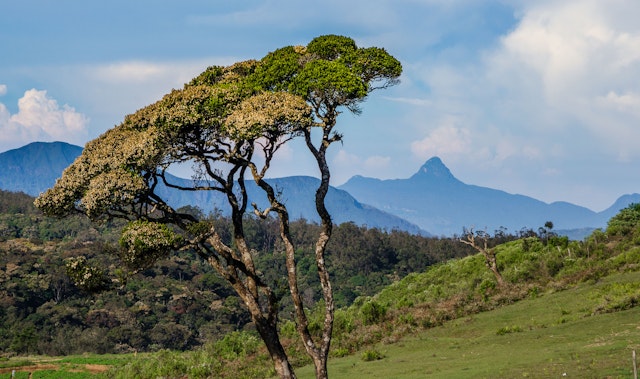 Ratnapura-0