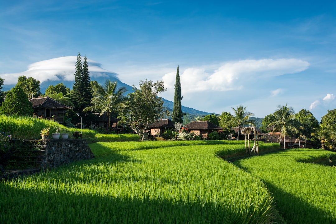 L’essence de Bali en 13 jours