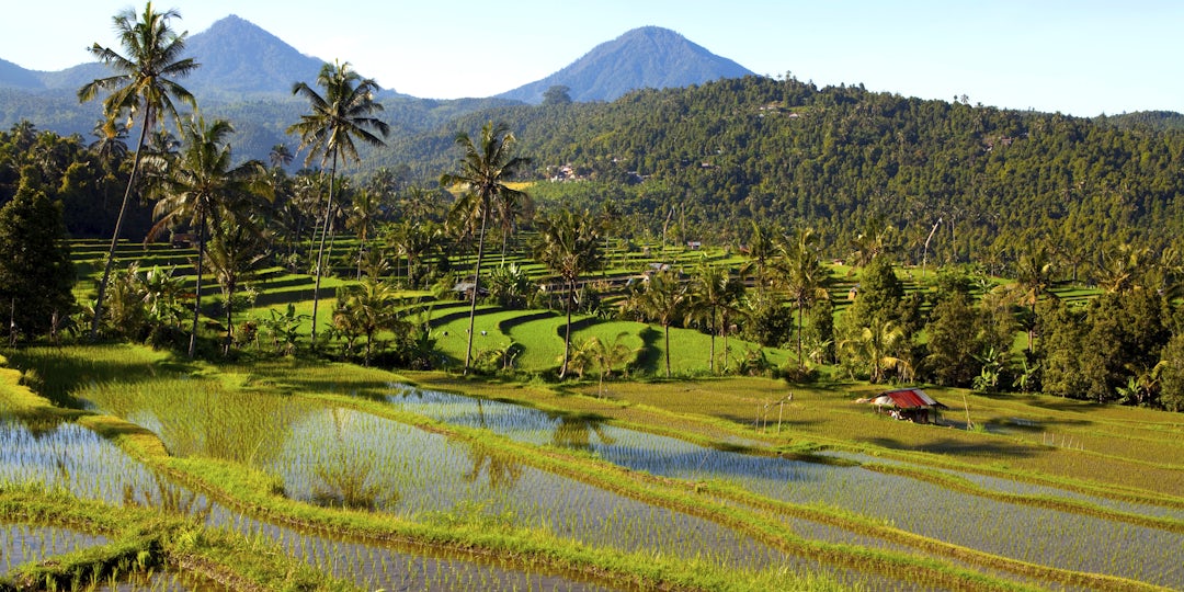 Fernweh pur: VAE, Singapur, Indonesien Fernweh pur: VAE, Singapur, Indonesien