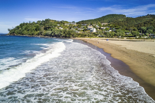 Coromandel Town-2