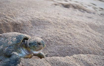 Aventure en camping au cœur d'Oman - Image 3