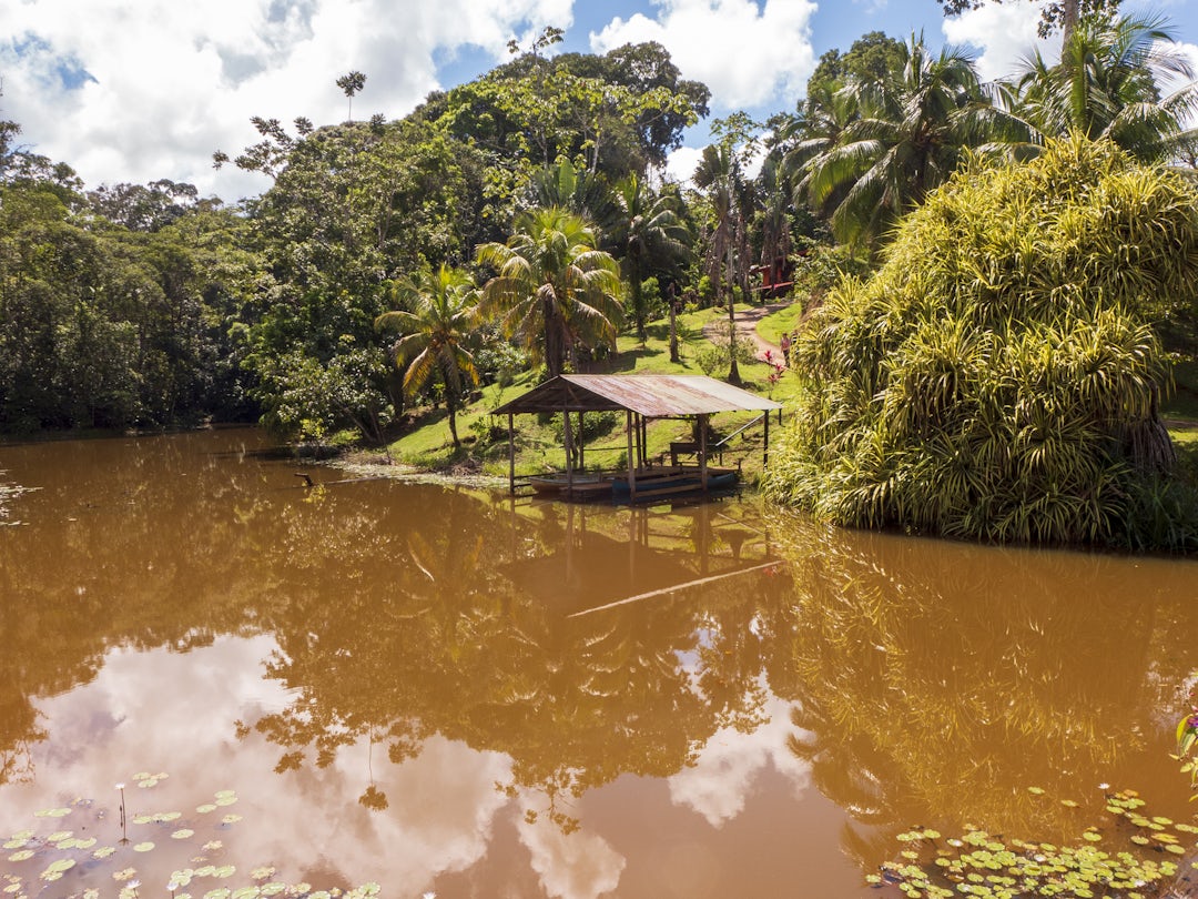 2 Wochen Fotoreise durch Costa Rica
