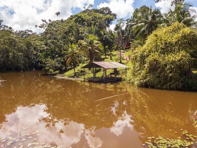 Boca Tapada-1