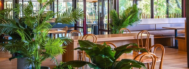 Kingfisher Bay Resort