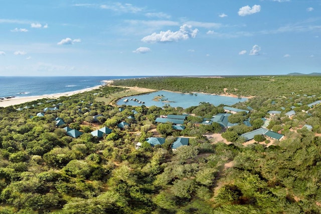 Cinnamon Wild Yala