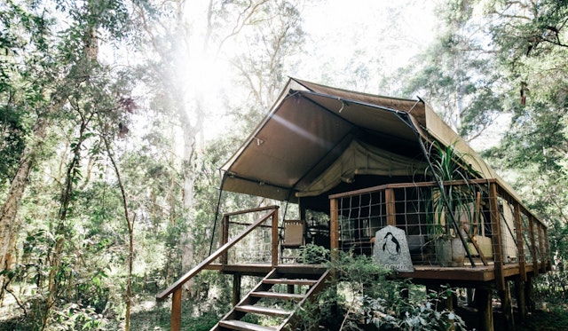 Paperbark Camp