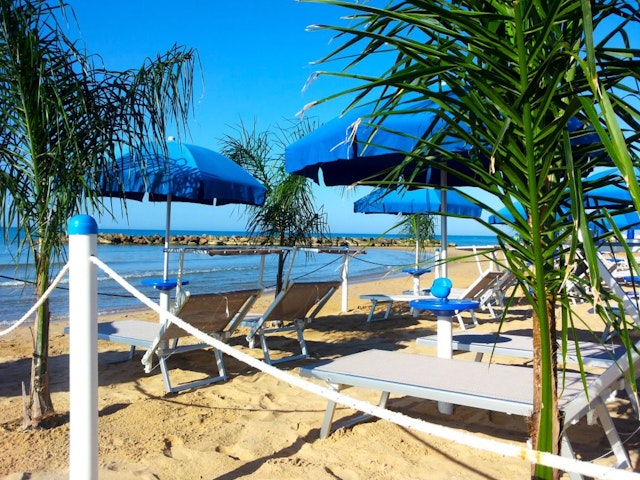 Acacia Marina