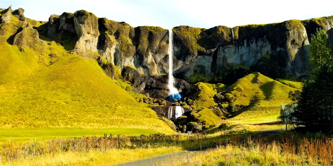 L'Islande autrement : glaciers, faune et volcans