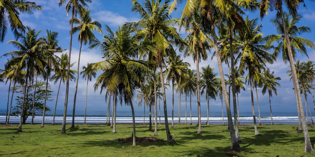 Circuit touristique à Bali