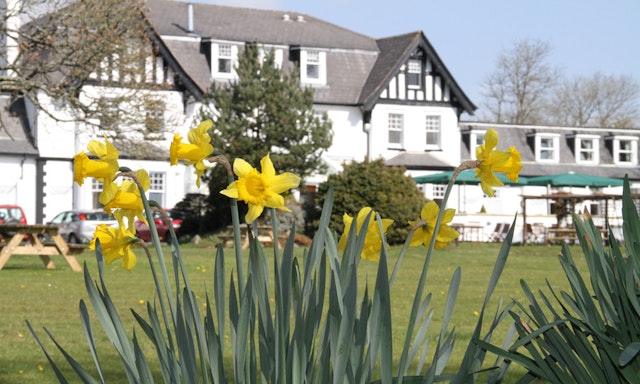 Ilsington Country House Hotel & Spa