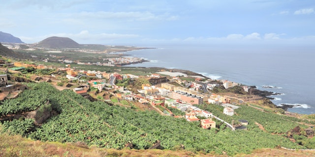 Buenavista del Norte-0