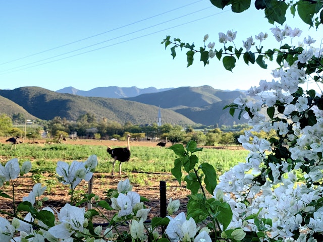 Berluda Farmhouse & Cottages