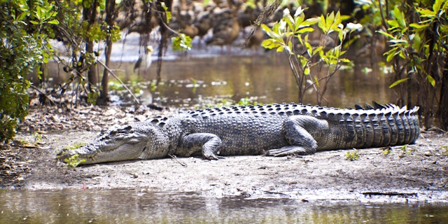 Kakadu National Park-7