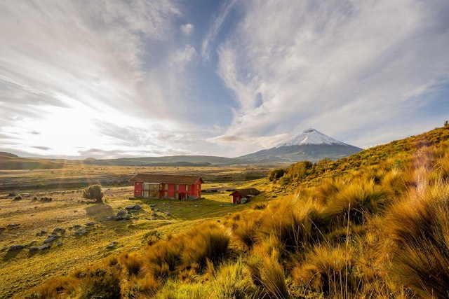 Tambopaxi Lodge