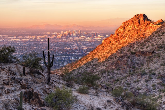 Phoenix-3