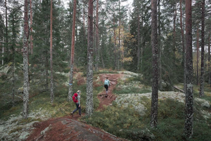 Schweden Rundreise 1 Woche: Von Stockholm durchs Landesinnere nach Göteborg - Image 4