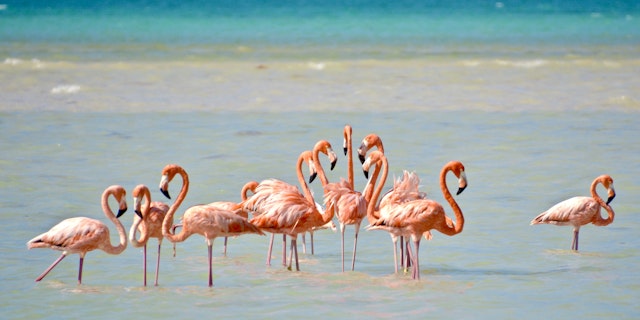 Isla Holbox-0
