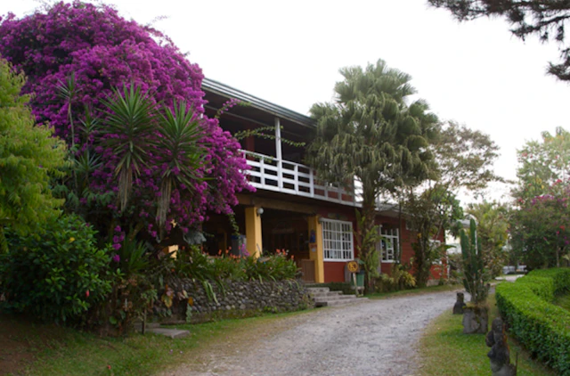 Turrialtico Lodge