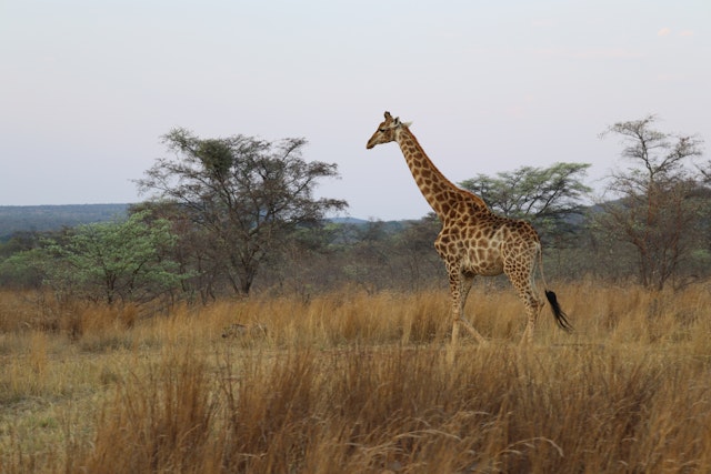 The Waterberg Biosphere-4