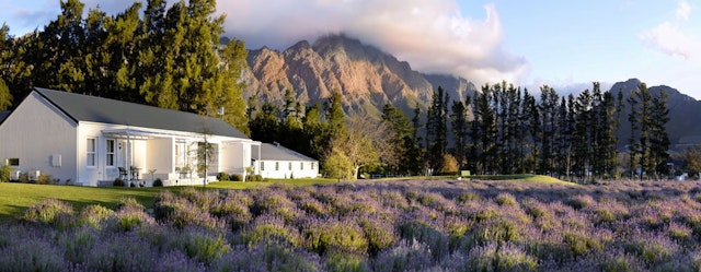 Lavender Farm Guesthouse